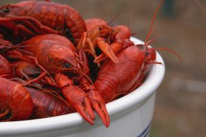 Old Town Spring Crawfish Festival